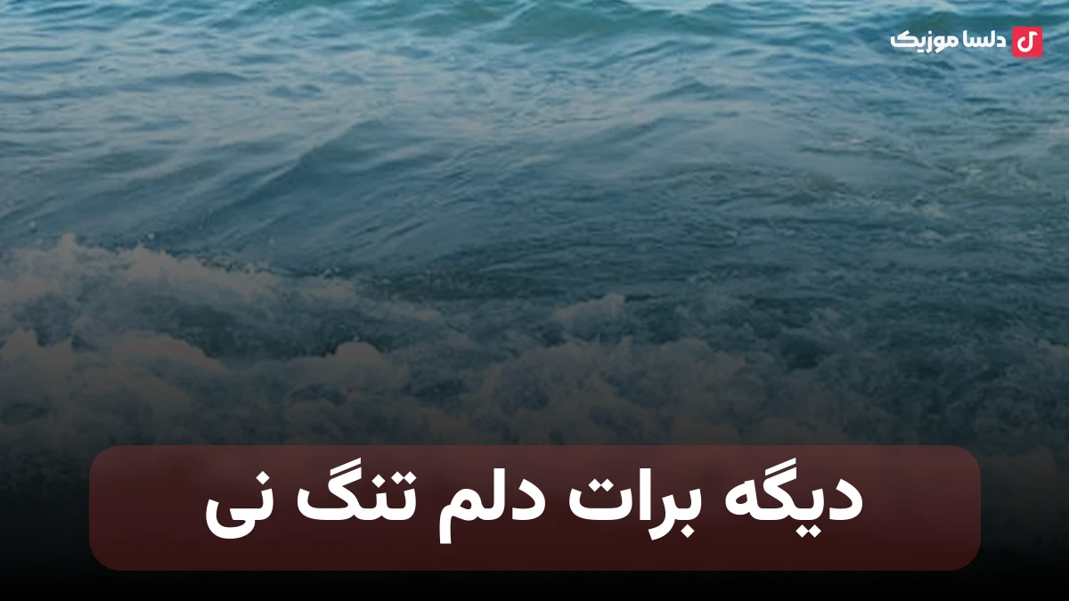 دیگه برات دلم تنگ نی یه ذره حس تو قلبم نی